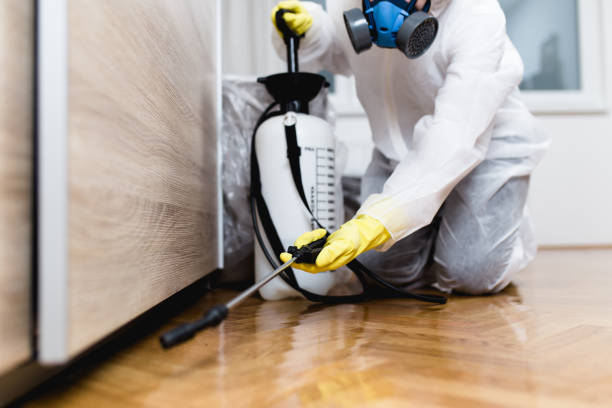 Best Cockroach Control Services  in Florence, TX
