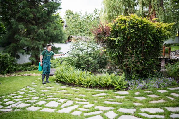 Best Ant Control Services  in Florence, TX